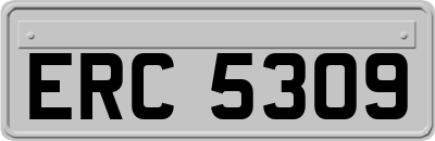 ERC5309