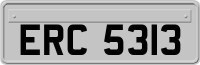 ERC5313