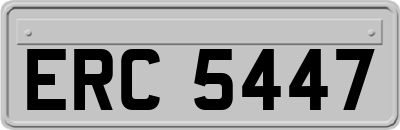 ERC5447