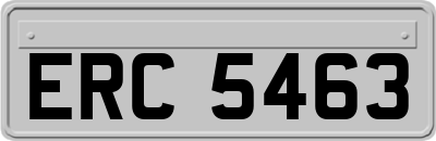 ERC5463