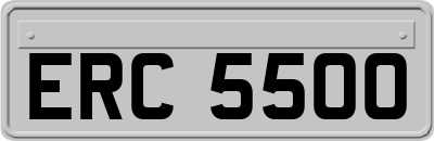 ERC5500