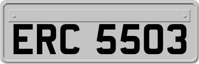 ERC5503