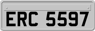 ERC5597