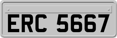 ERC5667