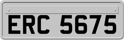 ERC5675