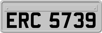 ERC5739