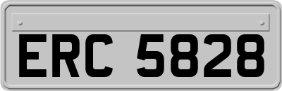 ERC5828