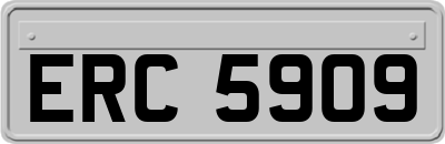 ERC5909