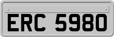 ERC5980