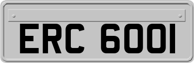 ERC6001