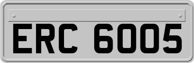 ERC6005