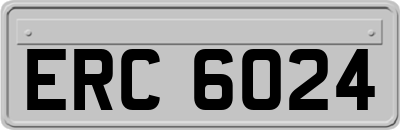 ERC6024