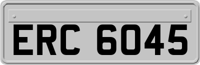 ERC6045