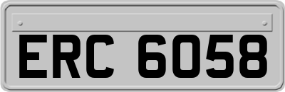 ERC6058
