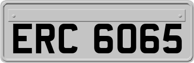 ERC6065