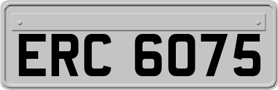 ERC6075
