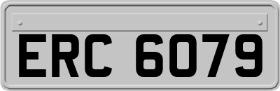 ERC6079
