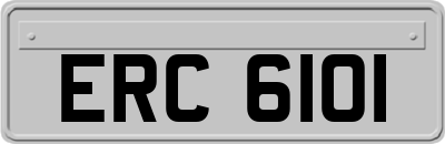 ERC6101