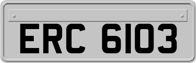 ERC6103
