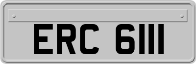 ERC6111