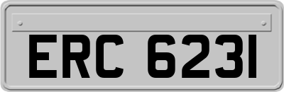 ERC6231