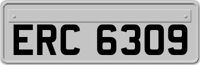ERC6309
