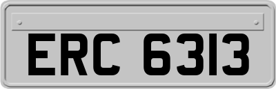 ERC6313