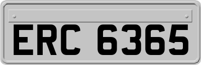 ERC6365