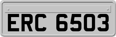 ERC6503