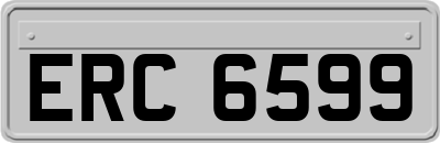 ERC6599