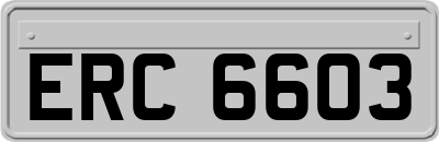 ERC6603