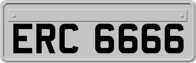 ERC6666