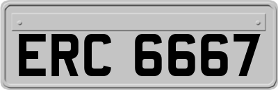 ERC6667
