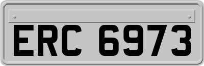 ERC6973