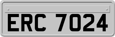 ERC7024