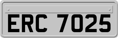 ERC7025
