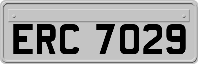 ERC7029
