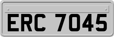 ERC7045
