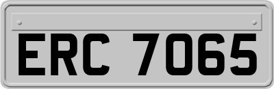 ERC7065