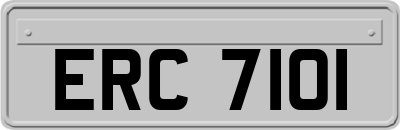 ERC7101