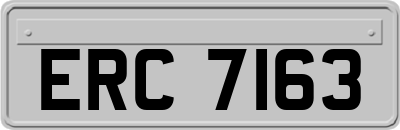 ERC7163