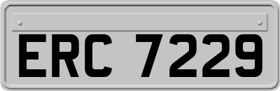 ERC7229