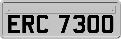 ERC7300
