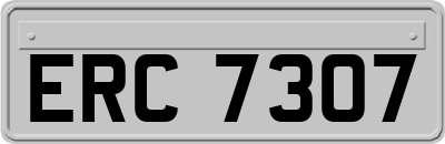 ERC7307