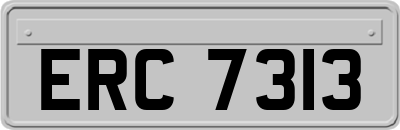ERC7313