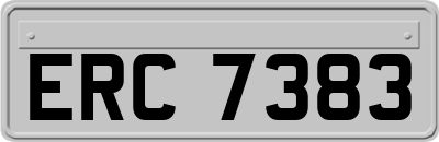 ERC7383