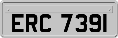 ERC7391