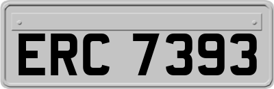 ERC7393
