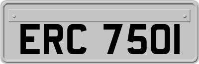 ERC7501