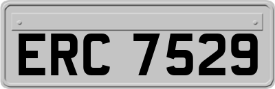 ERC7529